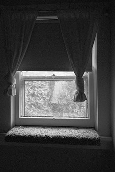 EW060510_172235