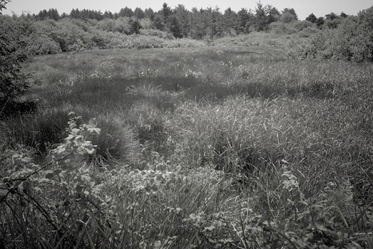 EW060520_113926
