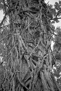 EW060522_193638b