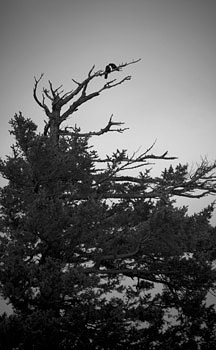 EW060613_123256