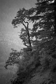 EW060613_163917