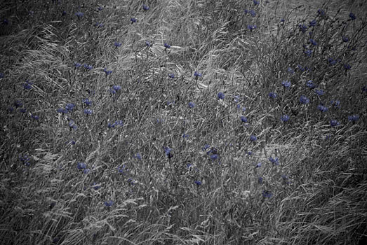 EW060614_135839