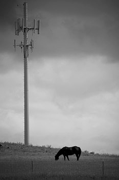 EW060616_115742