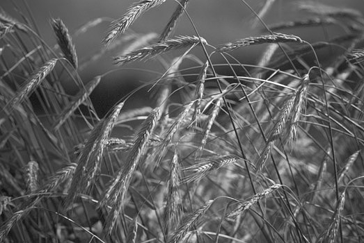 EW060616_174039