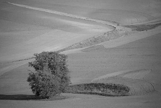 EW060616_174724