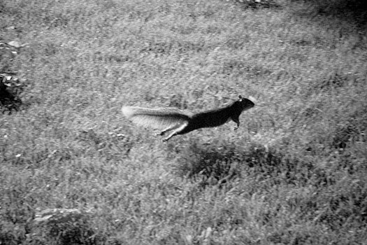 EW060626_162117