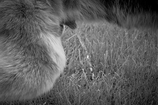 EW060901_164343