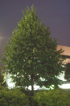 EW060902_195413