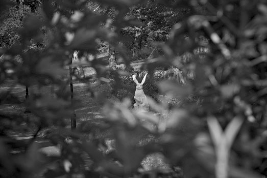 EW060908_165732