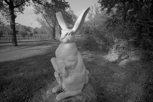 EW060908_171836