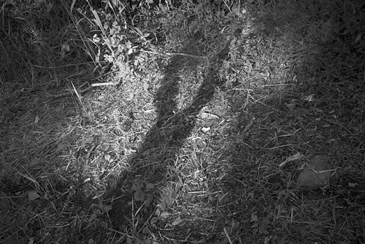 EW060908_171911