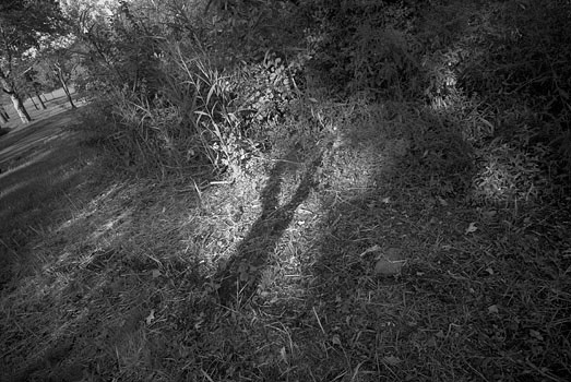 EW060908_171914