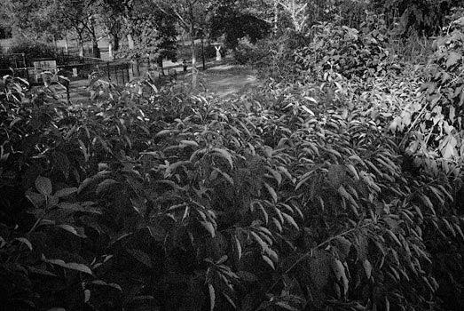 EW060908_172225