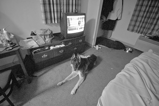 EW060908_204345