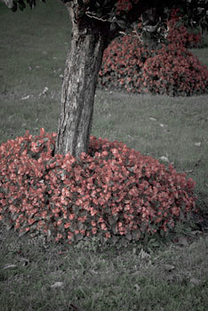 EW061018_174338