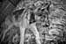 EW060517_011500