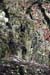 EW060523_090015