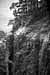 EW060613_163913