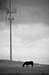 EW060616_115742