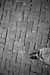 EW060625_164619