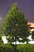 EW060902_195413