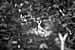 EW060908_165732