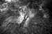 EW060908_171914