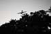 EW061008_184222